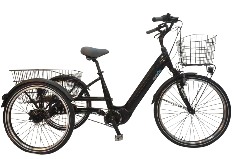 sunrider85.fr sunrider85 sunrider Tricycle à assistance électrique Cyclo2 Smart Couleur Noir