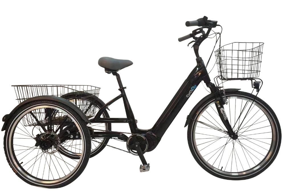 sunrider85.fr sunrider85 sunrider Tricycle à assistance électrique Cyclo2 Smart Couleur Noir